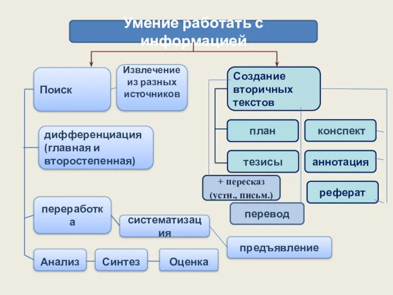 Умение работать с информацией Поиск дифференциация (главная и второстепенная) переработка