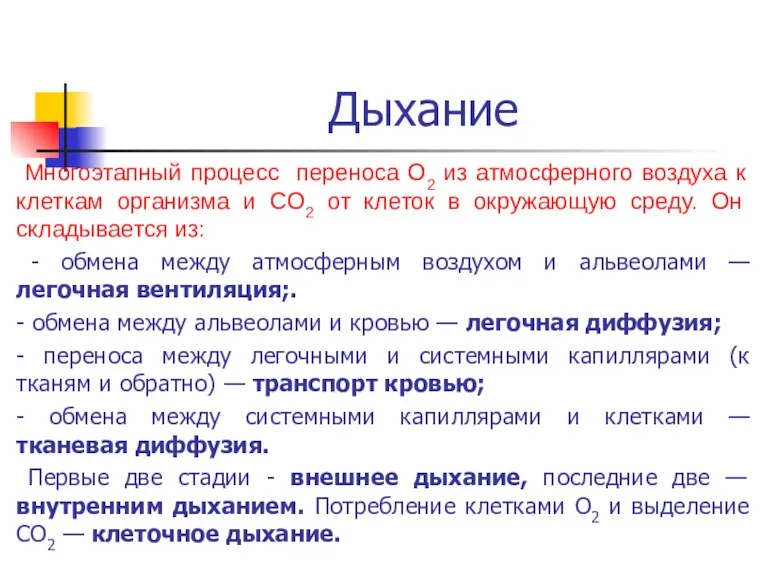 Дыхание Многоэтапный процесс переноса О2 из атмосферного воздуха к клеткам