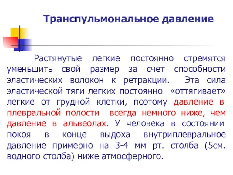 Транспульмональное давление Растянутые легкие постоянно стремятся уменьшить свой размер за