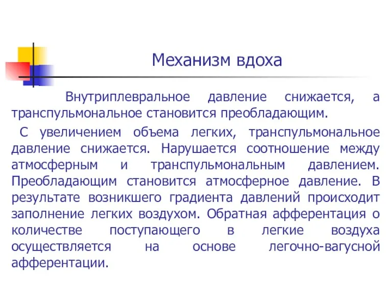 Механизм вдоха Внутриплевральное давление снижается, а транспульмональное становится преобладающим. С