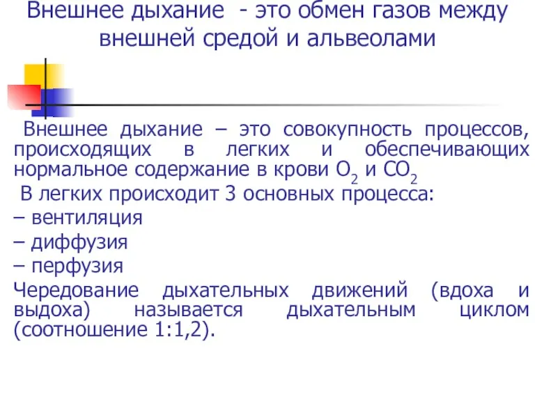 Внешнее дыхание – это совокупность процессов, происходящих в легких и