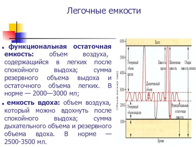 Легочные емкости функциональная остаточная емкость: объем воздуха, содержащийся в легких