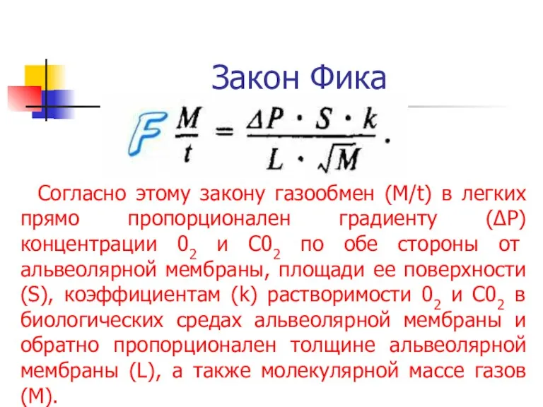 Закон Фика Согласно этому закону газообмен (M/t) в легких прямо