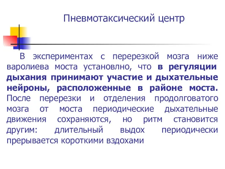 Пневмотаксический центр В экспериментах с перерезкой мозга ниже варолиева моста