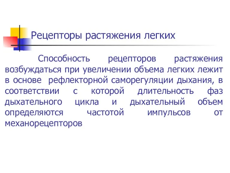 Рецепторы растяжения легких Способность рецепторов растяжения возбуждаться при увеличении объема