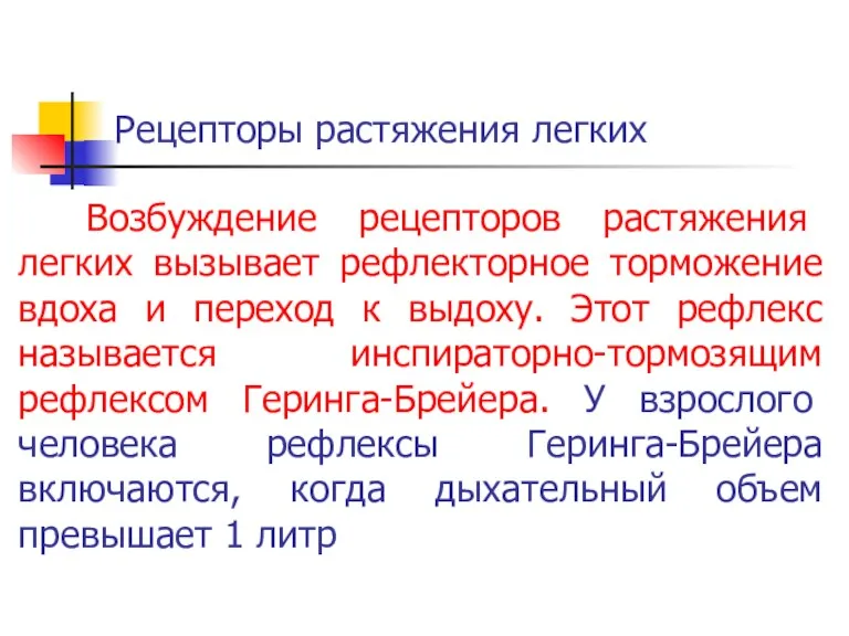 Рецепторы растяжения легких Возбуждение рецепторов растяжения легких вызывает рефлекторное торможение