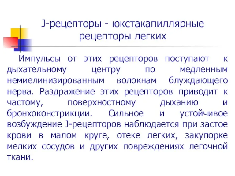 J-рецепторы - юкстакапиллярные рецепторы легких Импульсы от этих рецепторов поступают