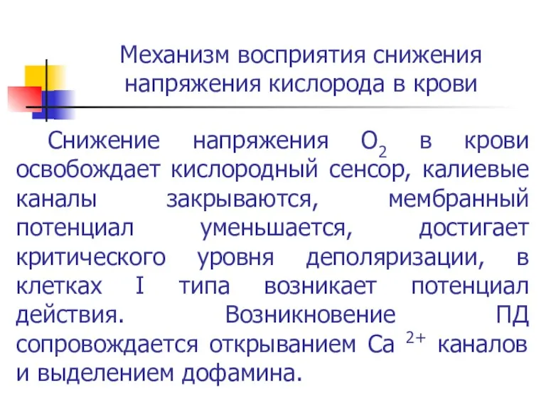 Механизм восприятия снижения напряжения кислорода в крови Снижение напряжения О2