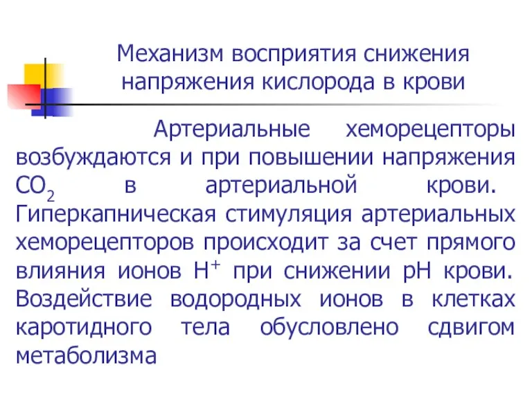 Механизм восприятия снижения напряжения кислорода в крови Артериальные хеморецепторы возбуждаются