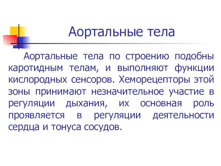 Аортальные тела Аортальные тела по строению подобны каротидным телам, и