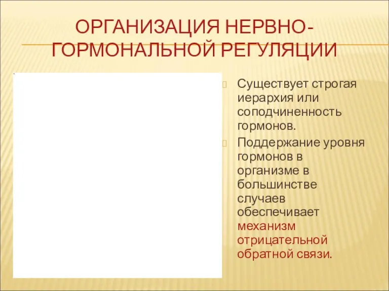 ОРГАНИЗАЦИЯ НЕРВНО-ГОРМОНАЛЬНОЙ РЕГУЛЯЦИИ Существует строгая иерархия или соподчиненность гормонов. Поддержание