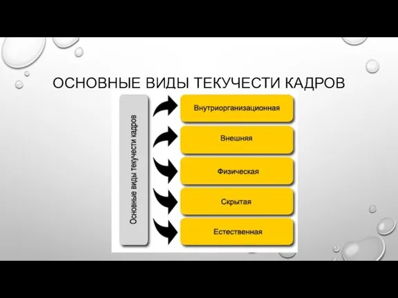 ОСНОВНЫЕ ВИДЫ ТЕКУЧЕСТИ КАДРОВ