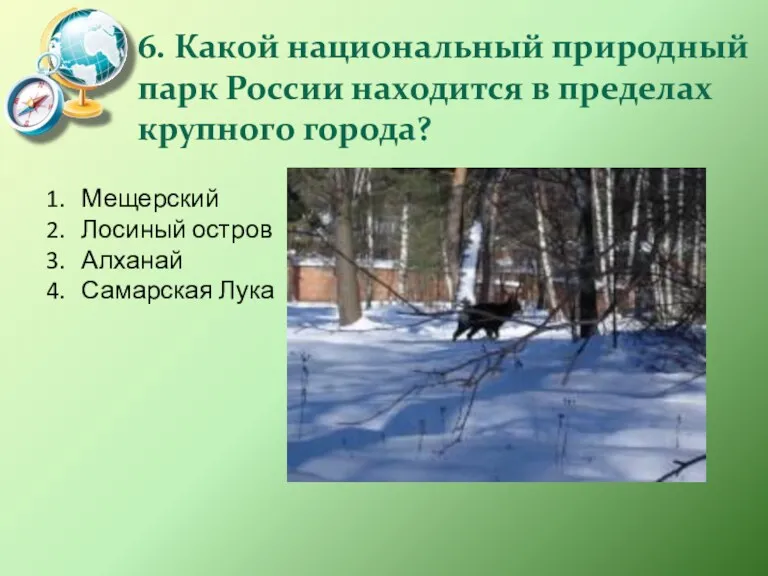 6. Какой национальный природный парк России находится в пределах крупного города? Мещерский Лосиный