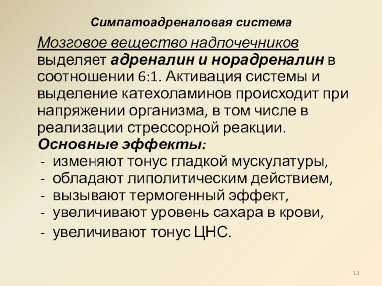 Симпатоадреналовая система Мозговое вещество надпочечников выделяет адреналин и норадреналин в