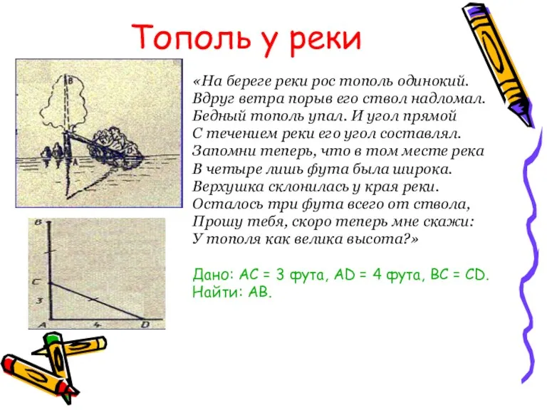 Тополь у реки «На береге реки рос тополь одинокий. Вдруг