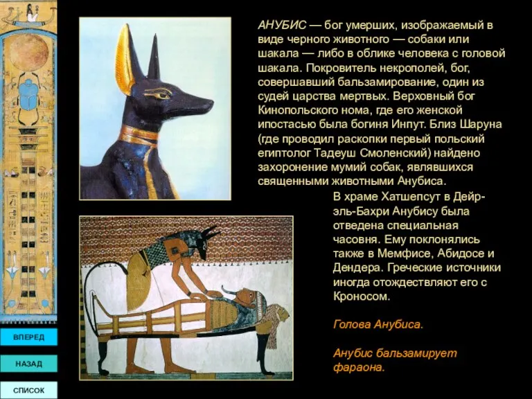 АНУБИС — бог умерших, изображаемый в виде черного животного — собаки или шакала