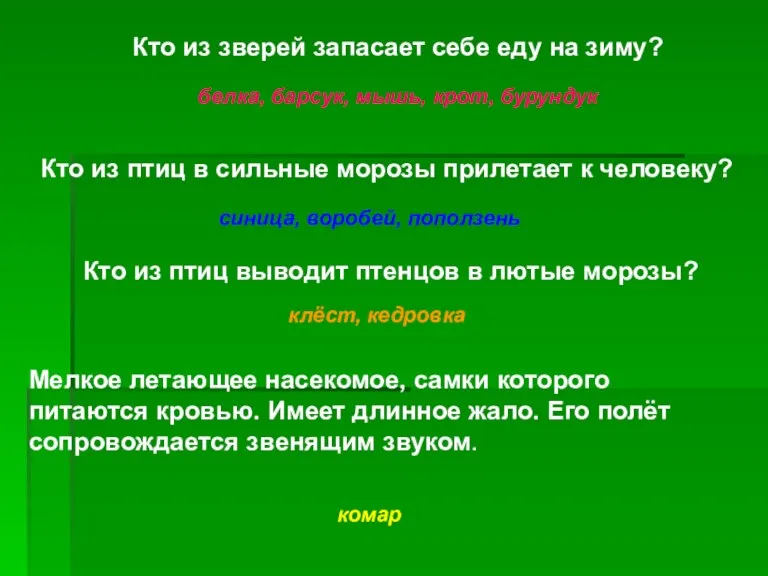 Кто из зверей запасает себе еду на зиму? Кто из птиц в сильные