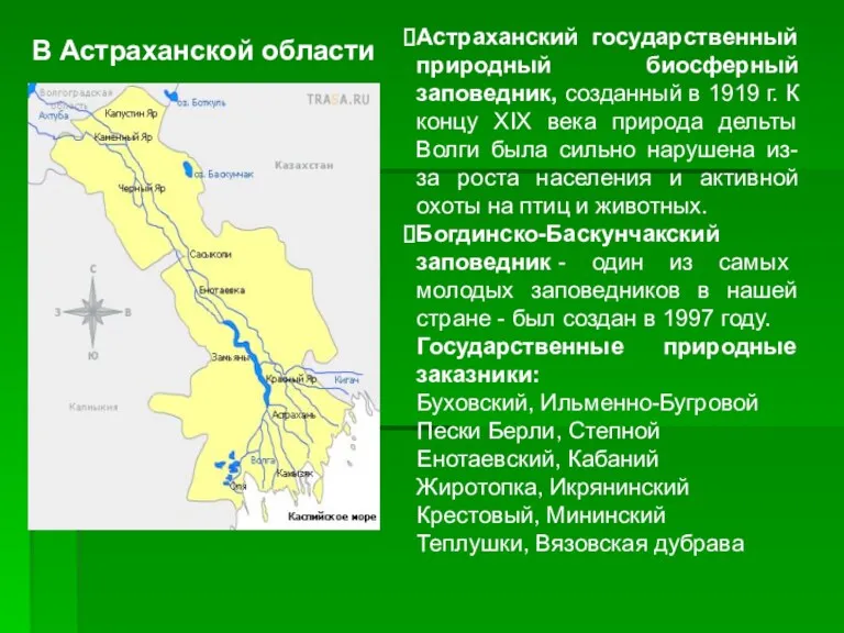 В Астраханской области Астраханский государственный природный биосферный заповедник, созданный в 1919 г. К