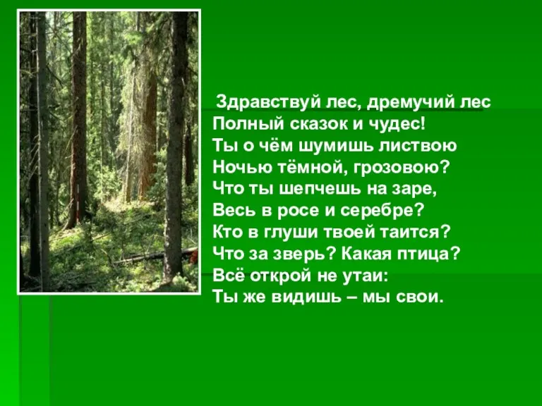 Здравствуй лес, дремучий лес Полный сказок и чудес! Ты о чём шумишь листвою