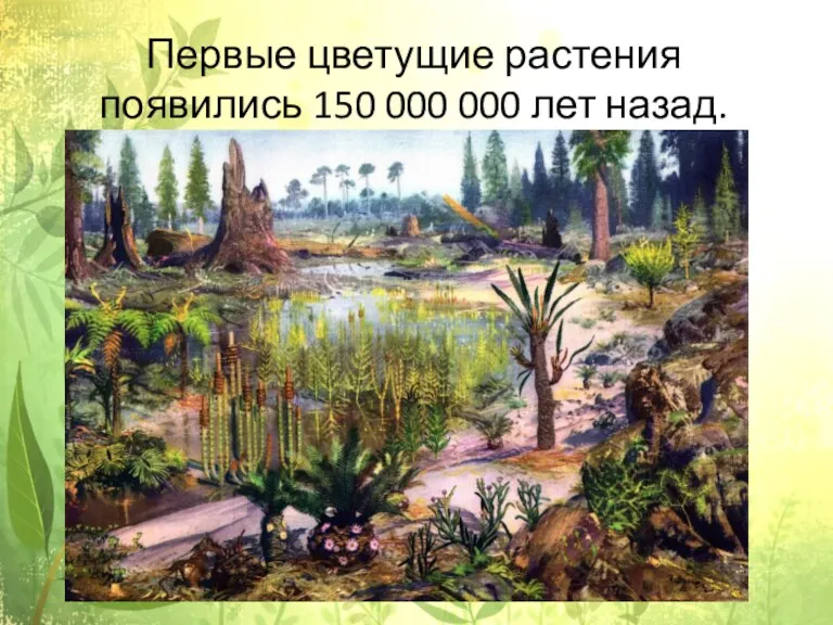 Первые цветущие растения появились 150 000 000 лет назад.