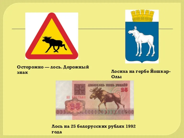Лосиха на гербе Йошкар-Олы Лось на 25 белорусских рублях 1992 года Осторожно — лось. Дорожный знак