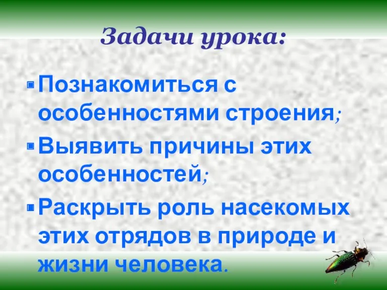 Задачи урока: Познакомиться с особенностями строения; Выявить причины этих особенностей;