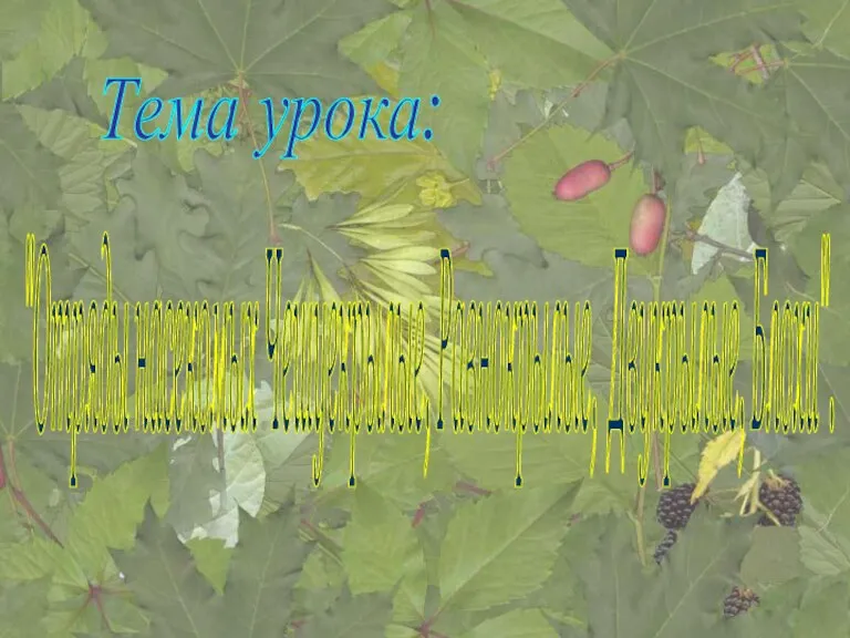 * Яковлева Л.А. "Отряды насекомых Чешуекрылые, Равнокрылые, Двукрылые, Блохи". Тема урока: