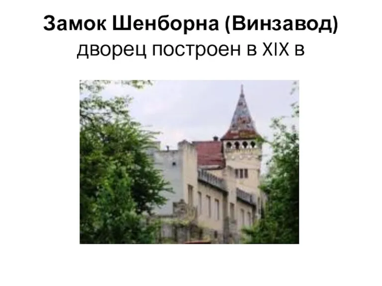 Замок Шенборна (Винзавод) дворец построен в XIX в