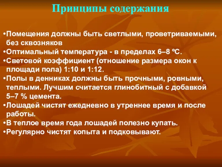 Принципы содержания Помещения должны быть светлыми, проветриваемыми, без сквозняков Оптимальный