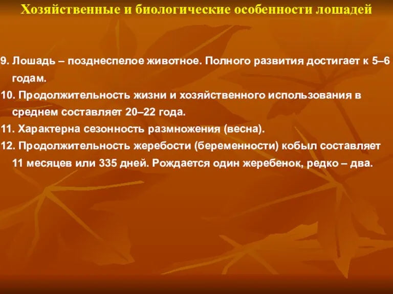 Хозяйственные и биологические особенности лошадей 9. Лошадь – позднеспелое животное.