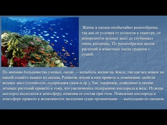 Жизнь в океане необычайно разнообразна, так как ее условия от