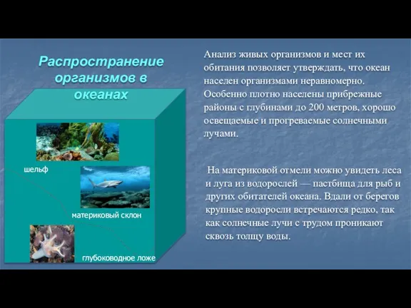 Распространение организмов в океанах Анализ живых организмов и мест их