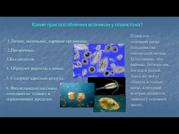 Какие приспособления возникли у планктона? 1.Легкие, маленькие, парящие организмы. 2.Прозрачные.