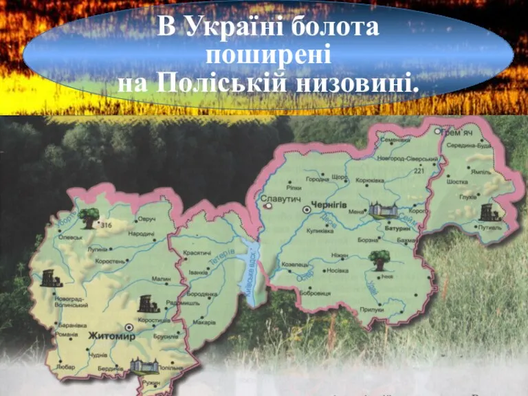 В Україні болота поширені на Поліській низовині.