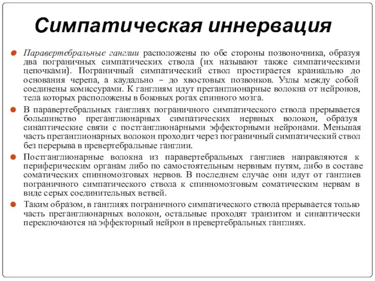 Симпатическая иннервация Паравертебральные ганглии расположены по обе стороны позвоночника, образуя