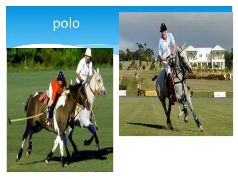 polo