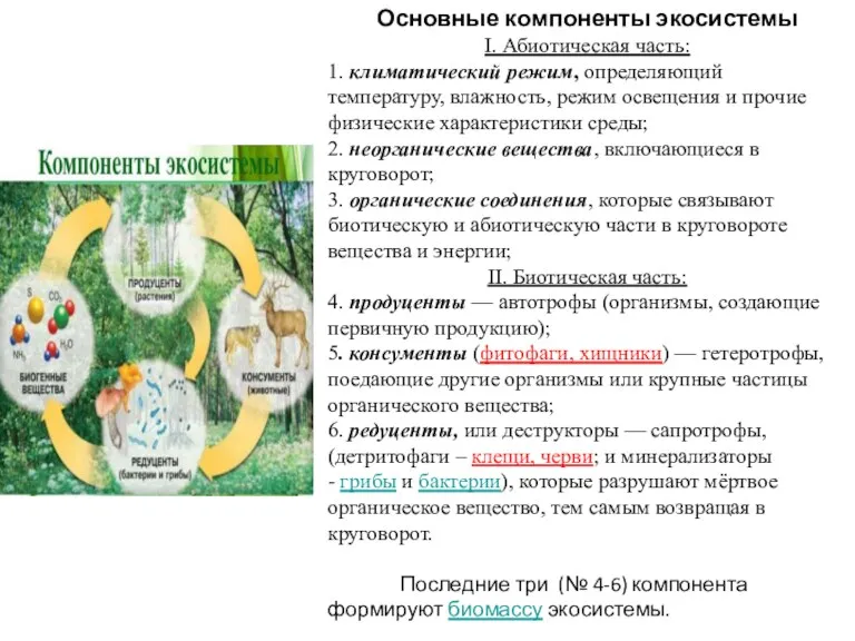 Основные компоненты экосистемы I. Абиотическая часть: 1. климатический режим, определяющий