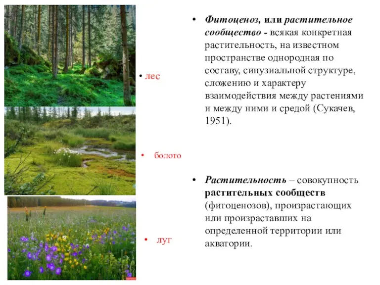 Фитоценоз, или растительное сообщество - всякая конкретная растительность, на известном