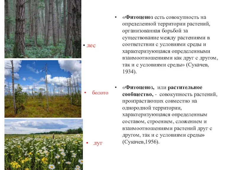 «Фитоценоз есть совокупность на определенной территории растений, организованная борьбой за