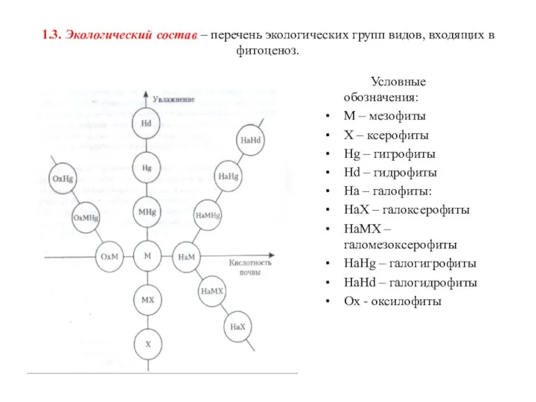 1.3. Экологический состав – перечень экологических групп видов, входящих в