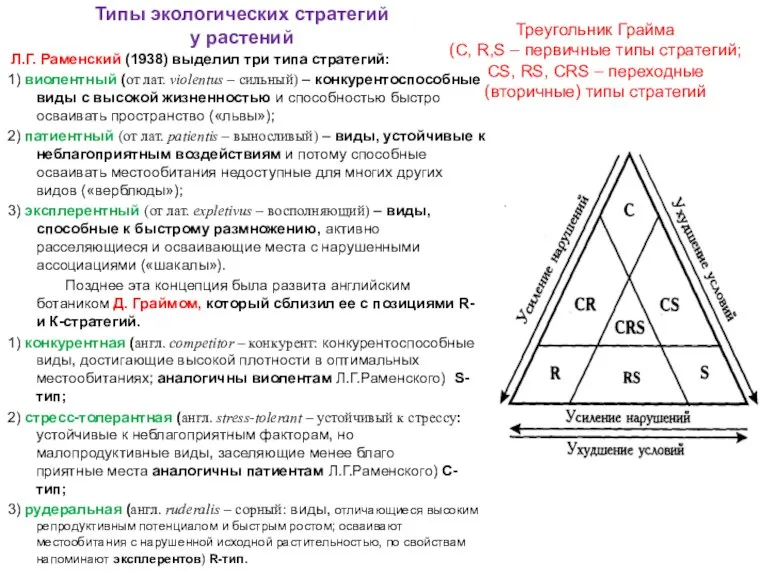 Типы экологических стратегий у растений Л.Г. Раменский (1938) выделил три