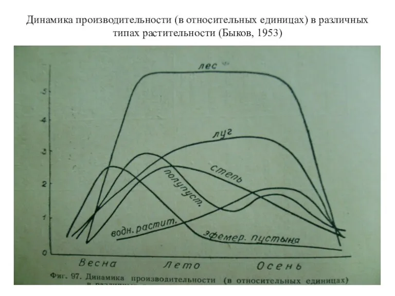 Динамика производительности (в относительных единицах) в различных типах растительности (Быков, 1953)