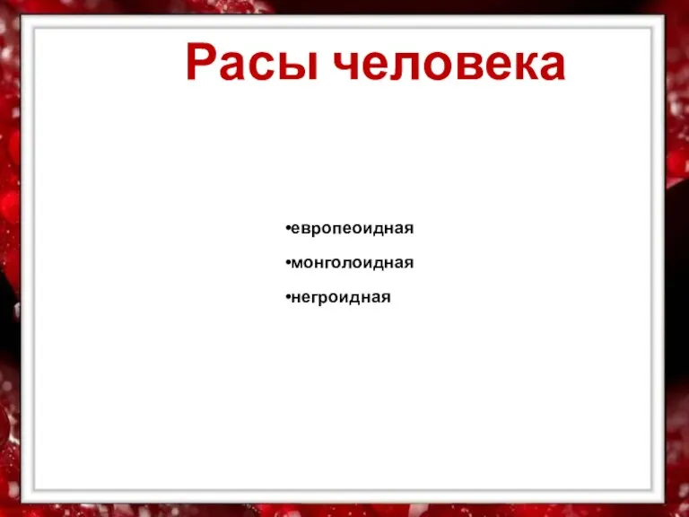 европеоидная монголоидная негроидная Расы человека