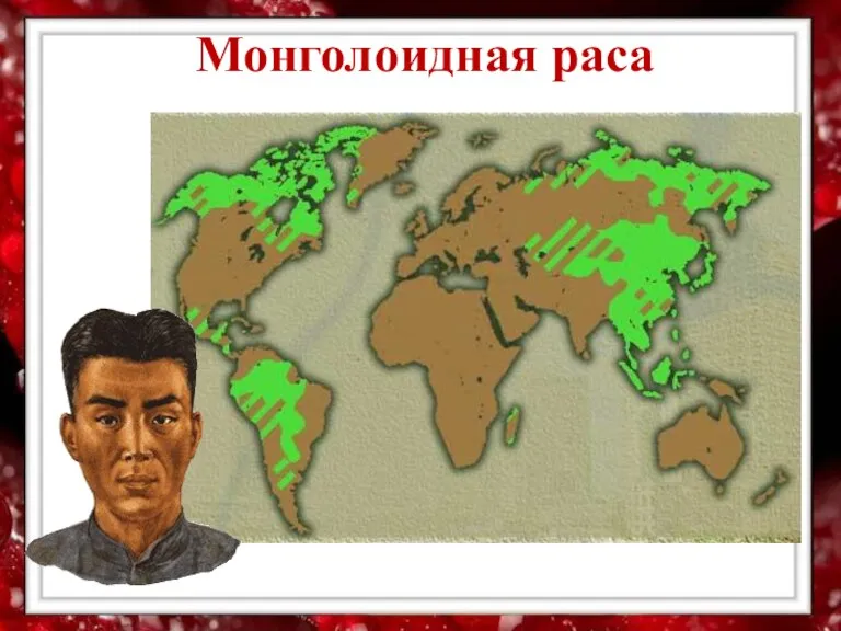 Монголоидная раса