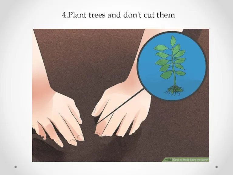 4.Plant trees and don't cut them
