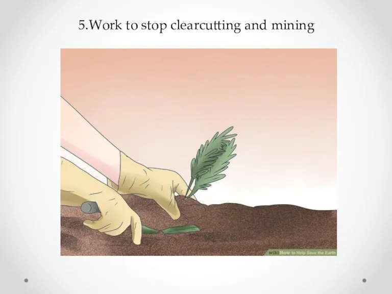 5.Work to stop clearcutting and mining