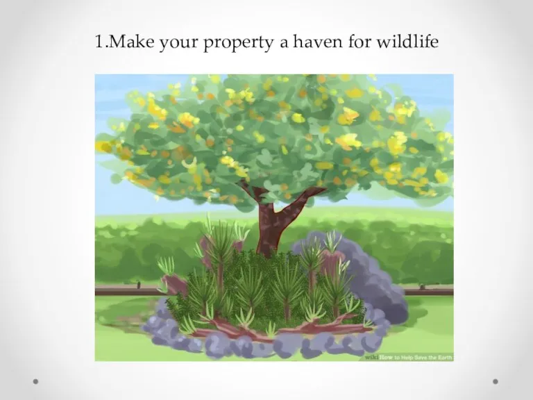 1.Make your property a haven for wildlife