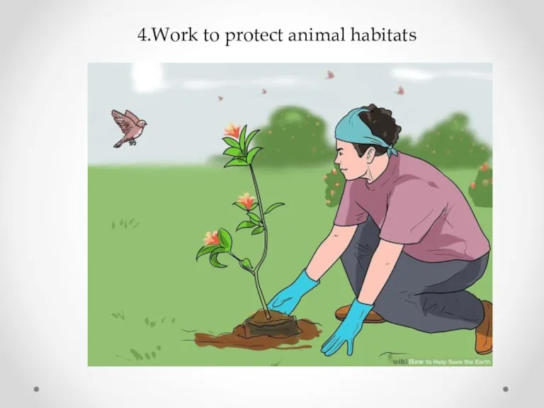 4.Work to protect animal habitats