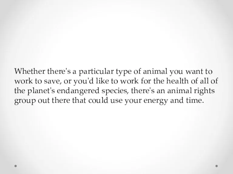 Whether there's a particular type of animal you want to