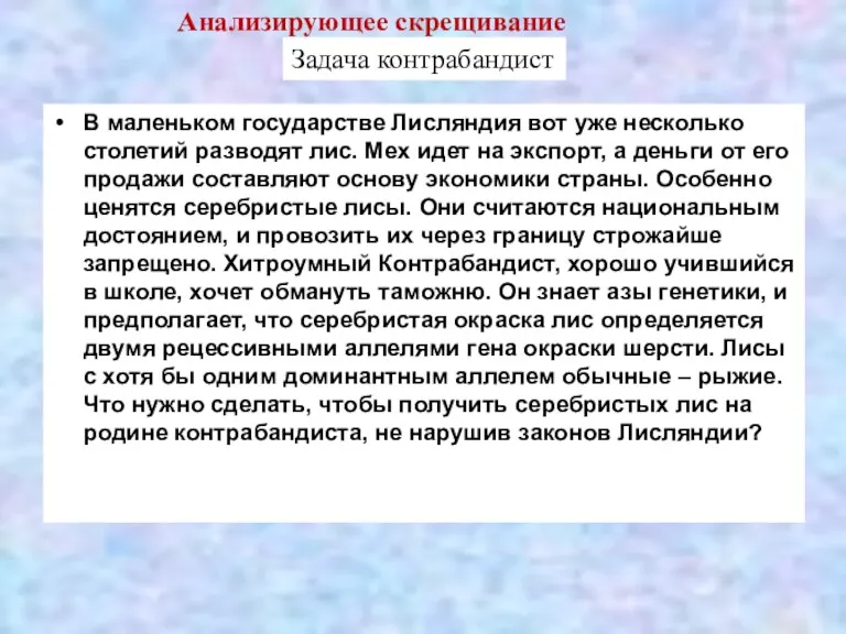 В маленьком государстве Лисляндия вот уже несколько столетий разводят лис.